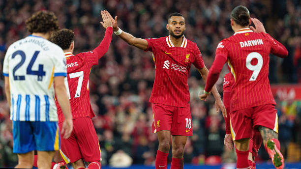 国人美好记 国人美好记